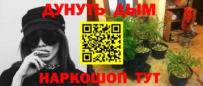 герыч Новодвинск