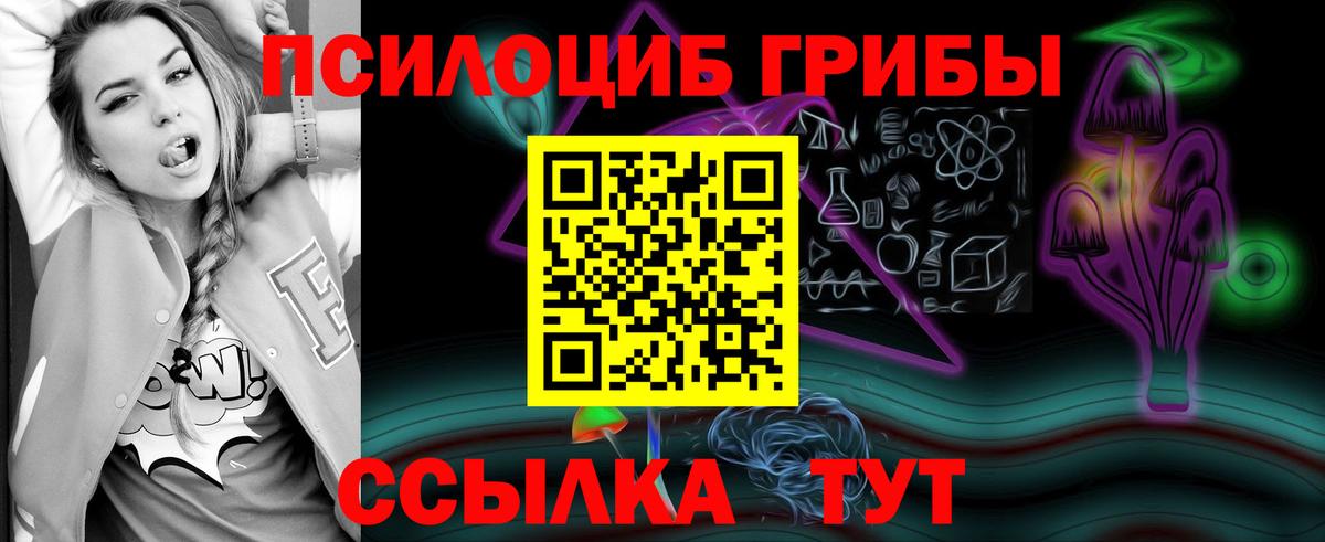 Галлюциногенные грибы мухоморы  наркотики  Пенза  Вход с VPN 